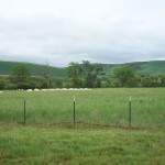 Beehives in Landscape, Monteillet Farm