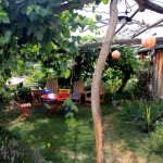 Photo of Chairs and Table in the Shade at Monteillet Fromagerie