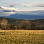 Monteillet Farm Landscape Photo by Steve Scardina