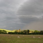 Photo of Sheep Grazing at Monteillet Farm. Photo by Erin Horan