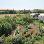 Nourish Gardens and Intern Airstreams