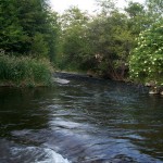 Touchet River Runs though Monteillet Farm