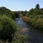 Photo of The Touchet River in Summer