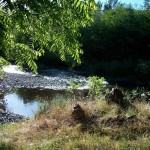 Photo of View of the Touchet River from the Gite