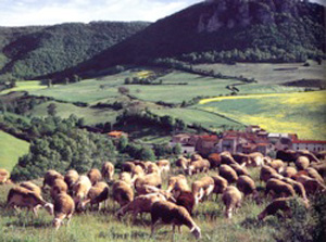 Countryside, Millau, France