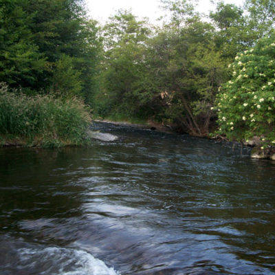The Touchet River from The Gite