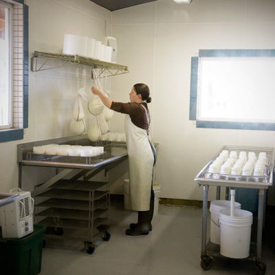 Photo of Making Soft Cheese at Monteillet Fromagerie