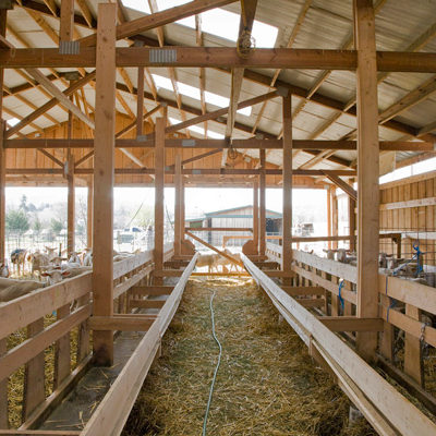 In the New Barn, Monteillet Farm Photo by Steve Scardina