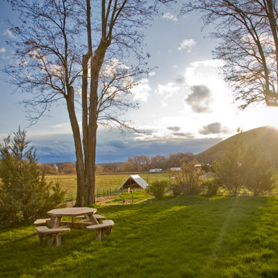 Photo of Picnic Table in the Sun. Photo by Steve Scardina.