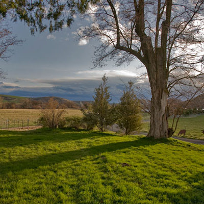 Farm Landscape in Spring Photo by Steve Scardina.