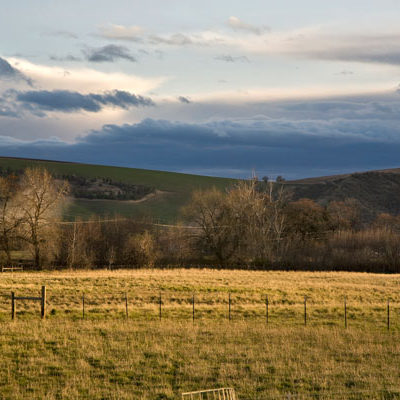 Monteillet Farm Landscape Photo by Steve Scardina
