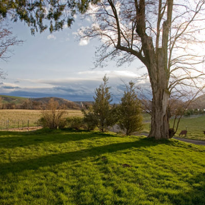 View of Fields from the Gite Photo by Steve Scardina.