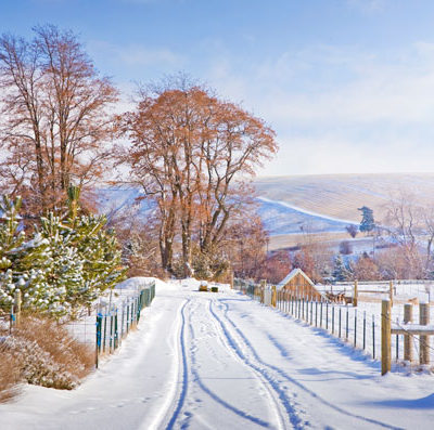 Snow-Covered Road to Monteillet Fromagerie Photo by Steve Scardina.