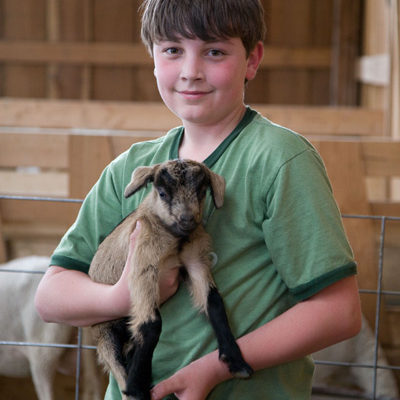 Boy and Kid Goat - A New Friend Photo by Steve Scardina.