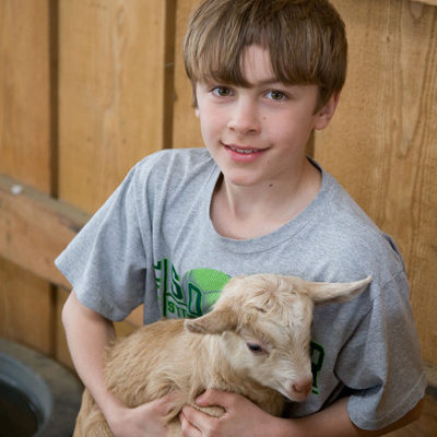 Child holding Kid Goat - Farm Stay Photo by Steve Scardina.