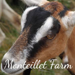 Photo Gallery: Monteillet Farm