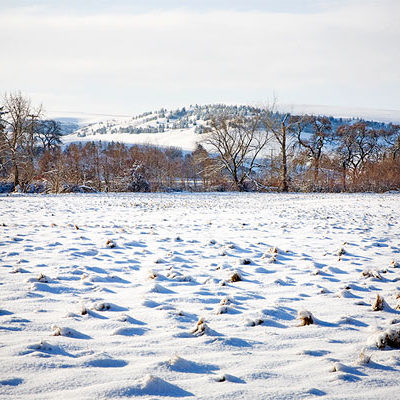 Winter Snow on Fields, Monteillet Fromagerie Photo by Steve Scardina.