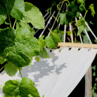 Photo of Hammock in Summer, Monteillet Fromagerie - Photo by Cameron Riley (Pastry Ninja Photography)