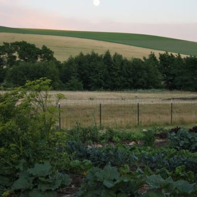 photo of full moon over Nourish Gardens—2011 Outstanding in the Field Dinner—photo by The Farm Chicks