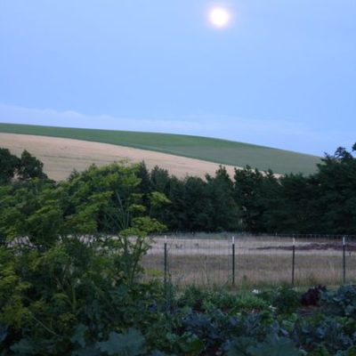 photo of full moon rising over hills—2011 Outstanding in the Field Dinner—photo by The Farm Chicks