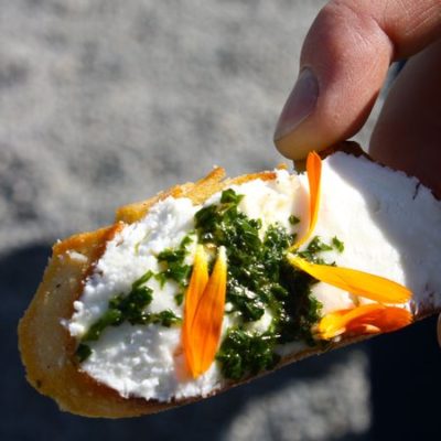 photo of goat cheese appetizer—2011 Outstanding in the Field Dinner—photo by The Farm Chicks