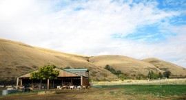 photo: Monteillet farm, by Beth Collins | Budget Travel May 2011